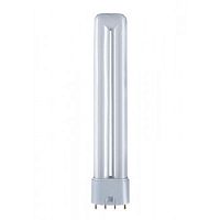 Лампа энергосберегающая КЛЛ 36вт Dulux L 36/830 2G11 (010793) картинка 